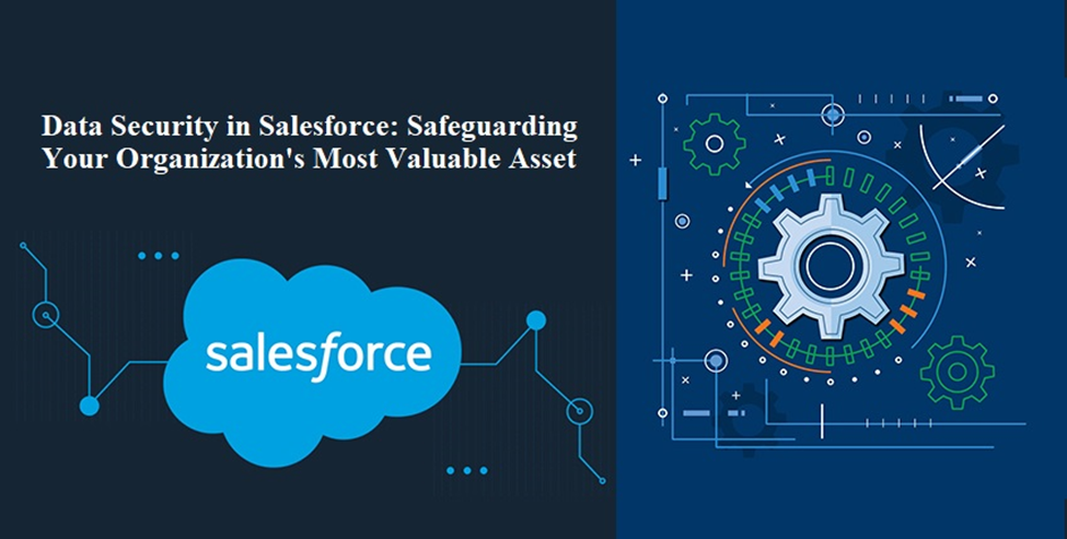 Data Security in Salesforce
