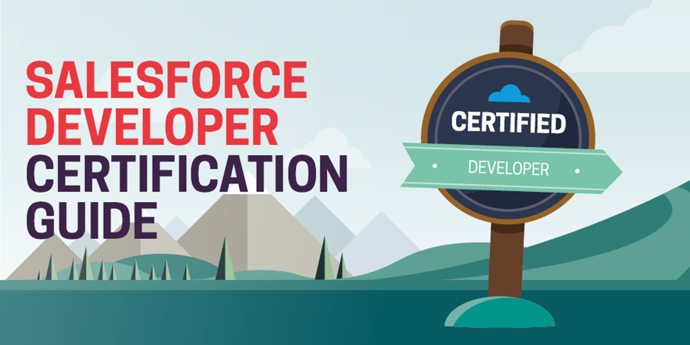 Salesforce Platform Developer